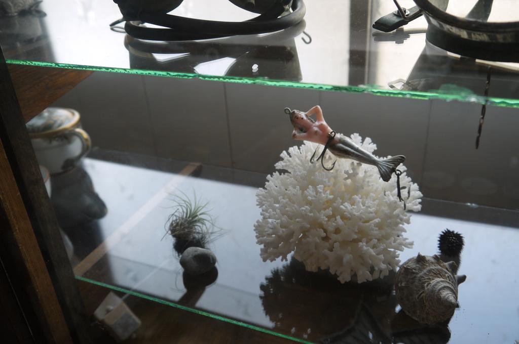 Minatoya Guesthouse Iki Ngoại thất bức ảnh