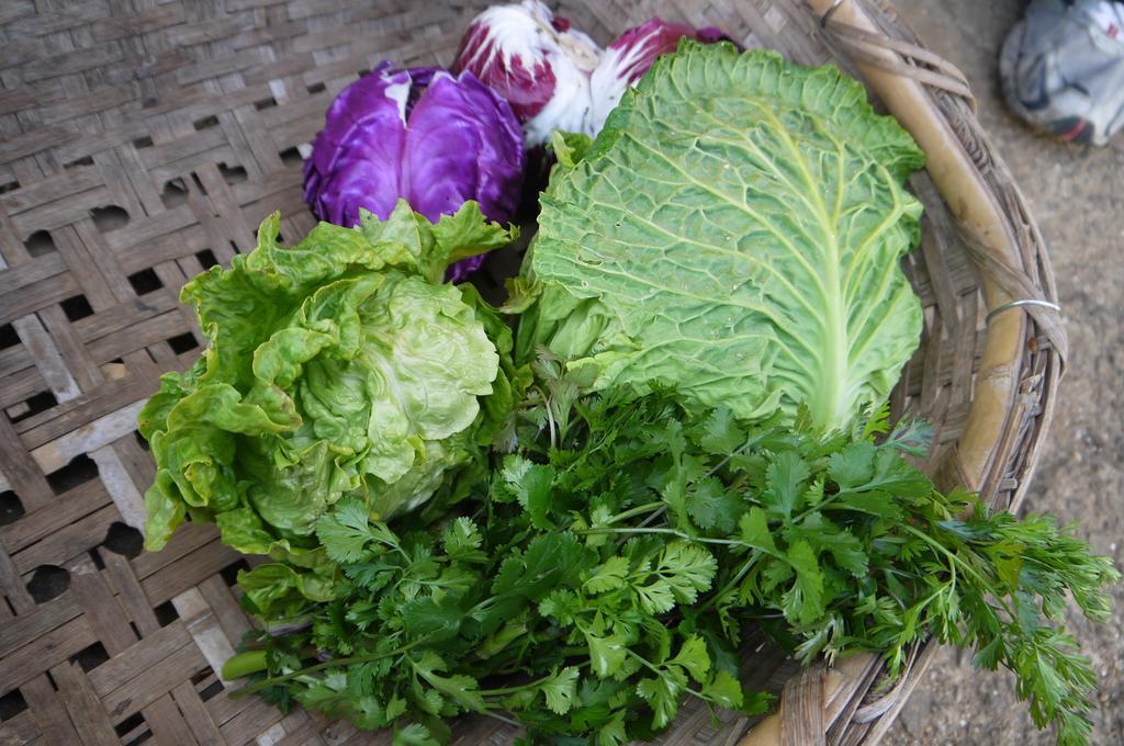 Minatoya Guesthouse Iki Ngoại thất bức ảnh